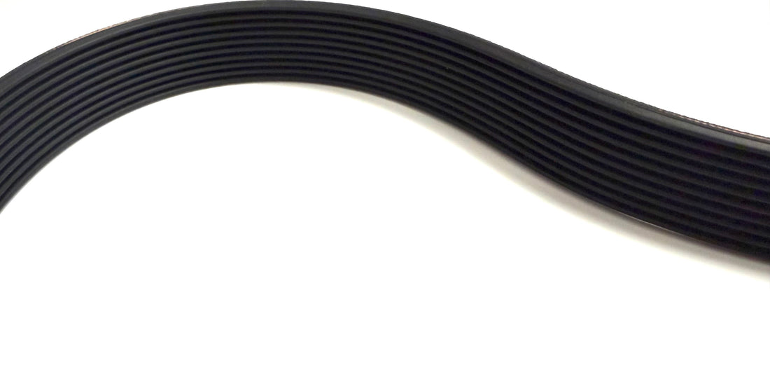 FREEMOTION FLEXONIC DRIVE BELT