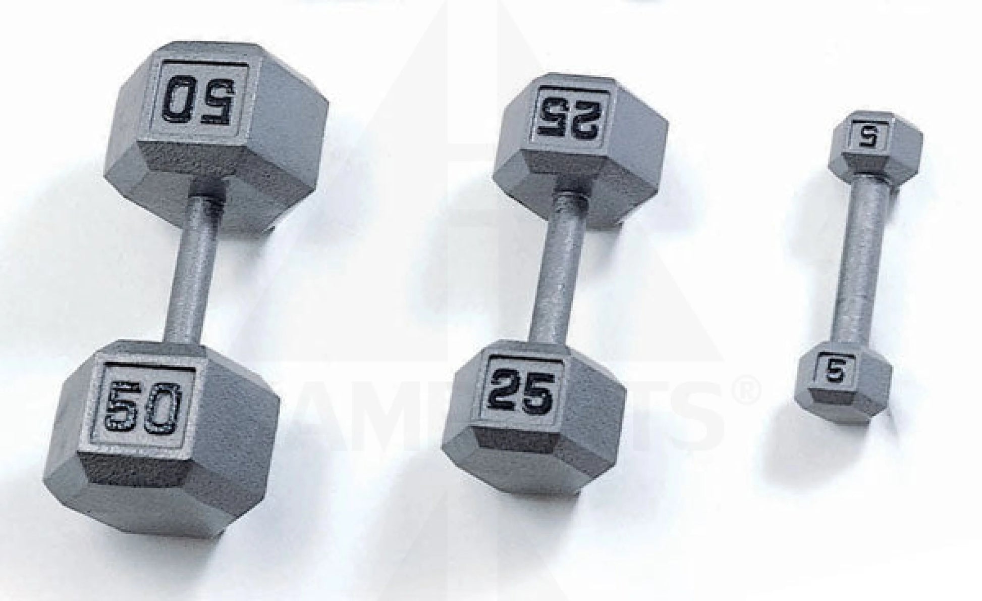 Grey Hexagon Solid Dumbbell (Straight Handle) - 65 LB Bars Weights & Benches