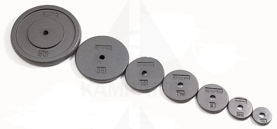 Standard 1’’ Grey Flat Plate - 12.5 LB Bars Weights & Benches