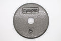 Standard 1’’ Grey Flat Plate - 5 LB Bars Weights & Benches