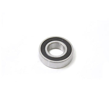 6004 2RS Radial Bearing